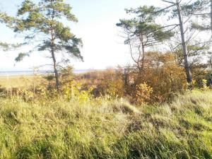 4 person holiday home in Hadsund-By Traum