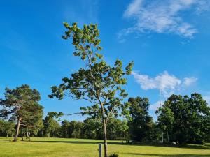 4 person holiday home in Hadsund-By Traum