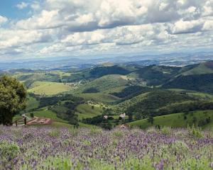 Gengibre Guest House Casemiro da Rocha no Centro Histórico a 100 mts da praça da Matriz