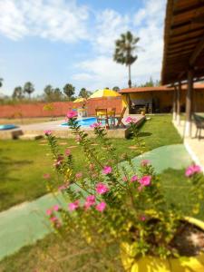 Pousada Sítio Boas Novas