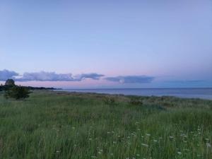 Seaside Serenity in Marielyst