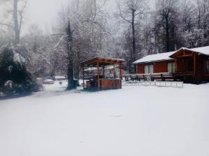 Cabañas simple Pucon