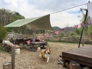 Camp inn Kiyosato GRANDEUR - Vacation STAY 42080v