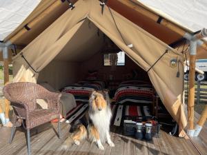 Camp inn Kiyosato GRANDEUR - Vacation STAY 42080v