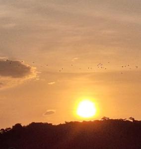 Cartagena playa uso exclusivo Serena del mar