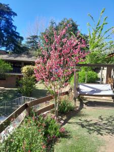 Casa frente al rio icho cruz 10 personas ideal varias parejas o familias