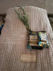 Chalé Serra da Balança - Gonçalves