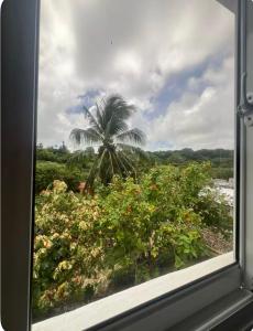 Apartamento Luna Llena