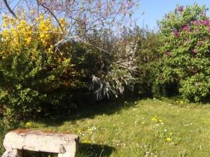 Gîte de campagne avec animaux acceptés près de Roanne - FR-1-496-376