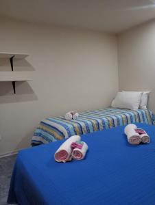 Departamento DON ALBERTO