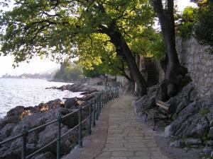 Apartments Camellia & Magnolia