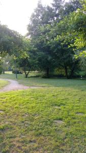 Le Pic Boeuf photo 24