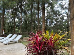 Crosswinds Resort Studio Double Suite