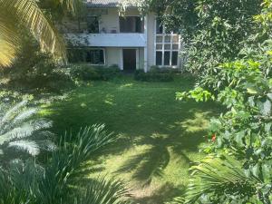 Wickfield Kandy