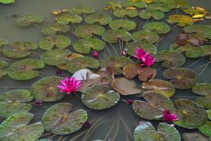 Trang An Legend Bungalow