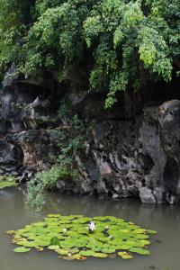 Trang An Legend Bungalow