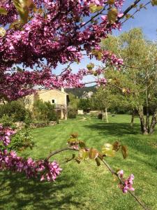 B&B / Chambres d'hotes La Ferme Des Belugues : photos des chambres