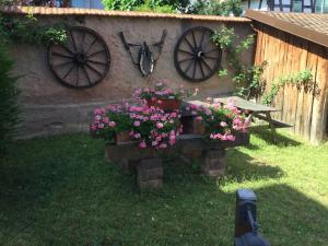 Maison dHôtes Douce Nuit