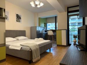 Garsoniera in Copou lângă Parhon IRO