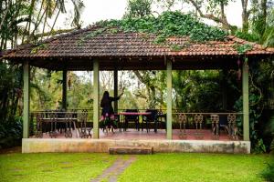 Misty Woods Homestay - Best homestay in Chikmagalur