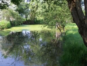 Lodges Pavillon 