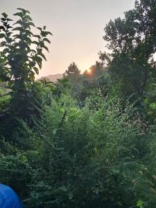 Studio Peaceful Path R-5 by Mukund Sadan Arambol