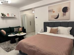 Sofia Residence - Otopeni Airport & Therme I Libertatii Gardens - free pool facilities