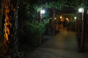 Fibule Du Draa Kasbah Dhôtes