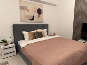 Sofia Residence - Otopeni Airport & Therme I Libertatii Gardens - free pool facilities