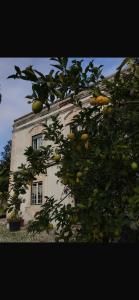 Casa Beija flor quarto Ortencias