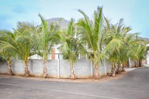 Bois Mapou Self Catering Apartments Unit 102