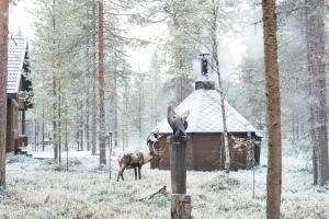 Koto Chalet Ski-In Ski-Out Hosted by Hygge Host