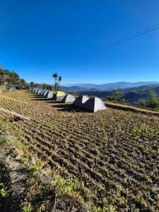 Safarnama Hornbill Camping near festival ground