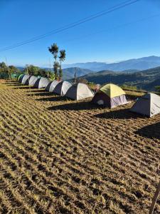 Safarnama Hornbill Camping near festival ground