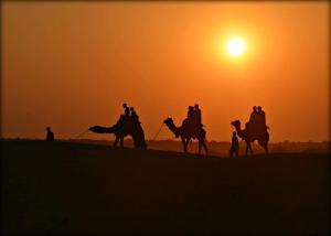 Amazing Desert Camp