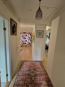 Arctic Aurora Apartment