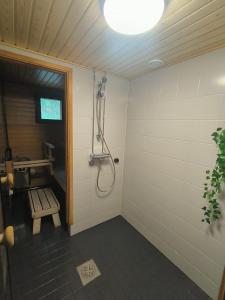 Arctic Aurora Apartment