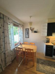 Arctic Aurora Apartment