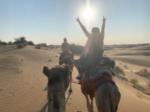 Amazing Desert Camp