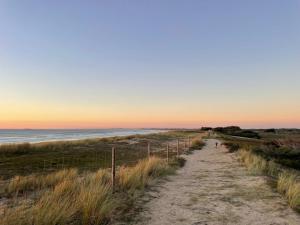 Pioka Loft Art & Surf