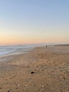 Pioka Loft Art & Surf