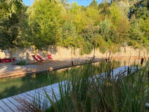 Maison Terre Les Cabanes de Fallot - sauna bain-froid piscine naturelle