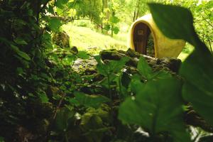 Maison Terre Les Cabanes de Fallot - sauna bain-froid piscine naturelle