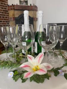 "Miło.Tu" Pokoje Gościnne