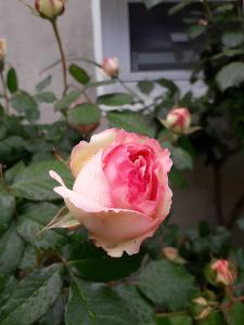 Les Chambres Du Circuit