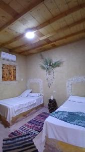 The Green Siwa Hotel