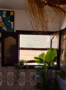 Anker Surf House