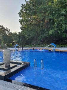 Golden Mountain Hostel