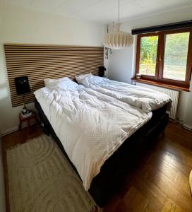 RIA Spa sauna, jacuzzi