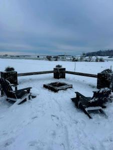 Tiny housse serenity avec jacuzzi